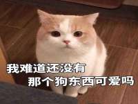 丰泽区松盛信息技术服务部