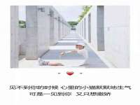 丰泽区松盛信息技术服务部