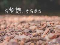 丰泽区松盛信息技术服务部