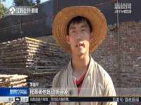 丰泽区松盛信息技术服务部