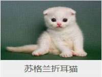 丰泽区松盛信息技术服务部