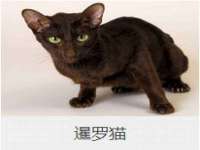 丰泽区松盛信息技术服务部