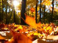 丰泽区松盛信息技术服务部