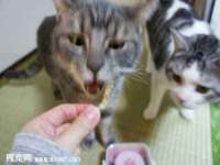 丰泽区松盛信息技术服务部