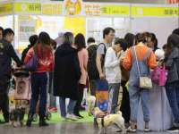 丰泽区松盛信息技术服务部