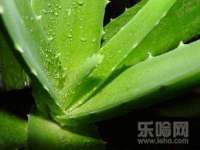 丰泽区松盛信息技术服务部