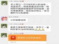 丰泽区松盛信息技术服务部