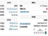 丰泽区松盛信息技术服务部