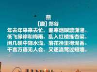 丰泽区松盛信息技术服务部