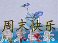 丰泽区松盛信息技术服务部