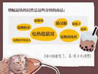 丰泽区松盛信息技术服务部