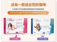 丰泽区松盛信息技术服务部