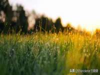 丰泽区松盛信息技术服务部