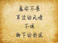 丰泽区松盛信息技术服务部