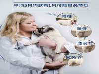 丰泽区松盛信息技术服务部