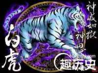 丰泽区松盛信息技术服务部
