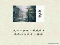 丰泽区松盛信息技术服务部