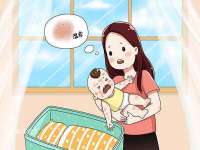 丰泽区松盛信息技术服务部