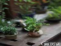 丰泽区松盛信息技术服务部
