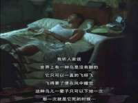 丰泽区松盛信息技术服务部