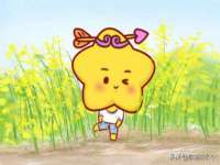 丰泽区松盛信息技术服务部