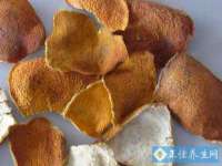 丰泽区松盛信息技术服务部