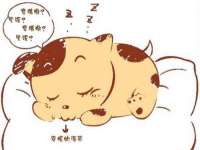 丰泽区松盛信息技术服务部