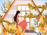 丰泽区松盛信息技术服务部