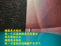 丰泽区松盛信息技术服务部