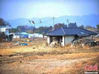 丰泽区松盛信息技术服务部