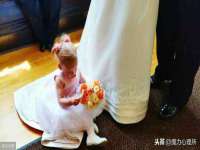 丰泽区松盛信息技术服务部